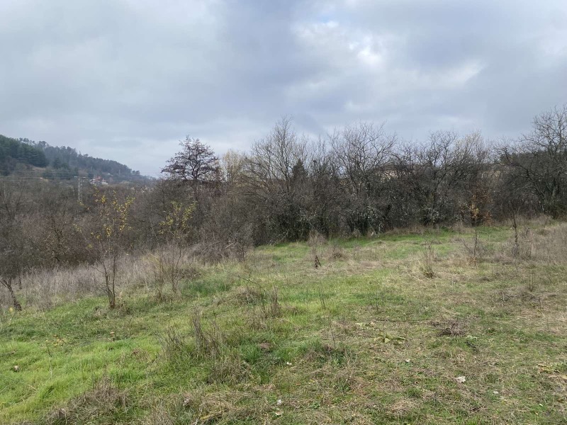 Продава ЗЕМЕДЕЛСКА ЗЕМЯ, гр. Калофер, област Пловдив