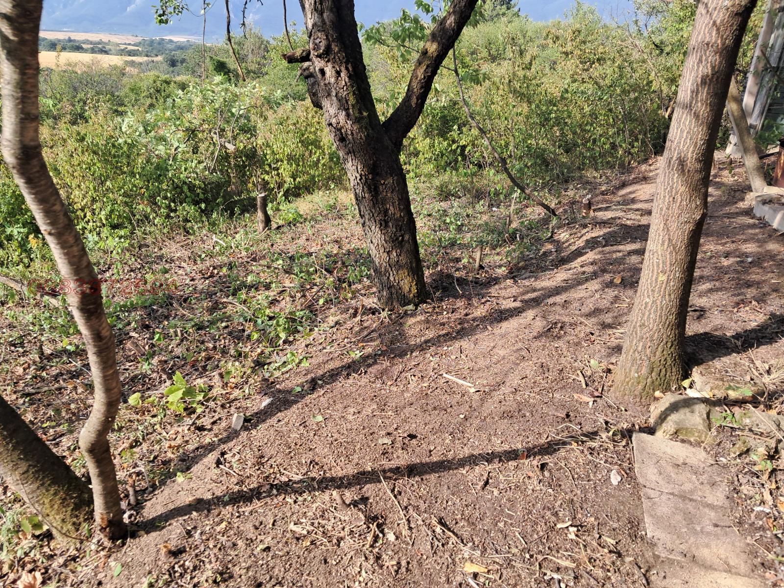 ������� ���� | Imot.bg � ����������� 5