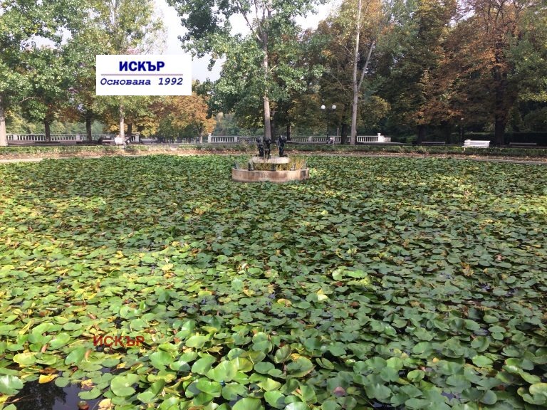 Продава 4-СТАЕН, гр. София, Лозенец, снимка 7 - Апартаменти - 52776289