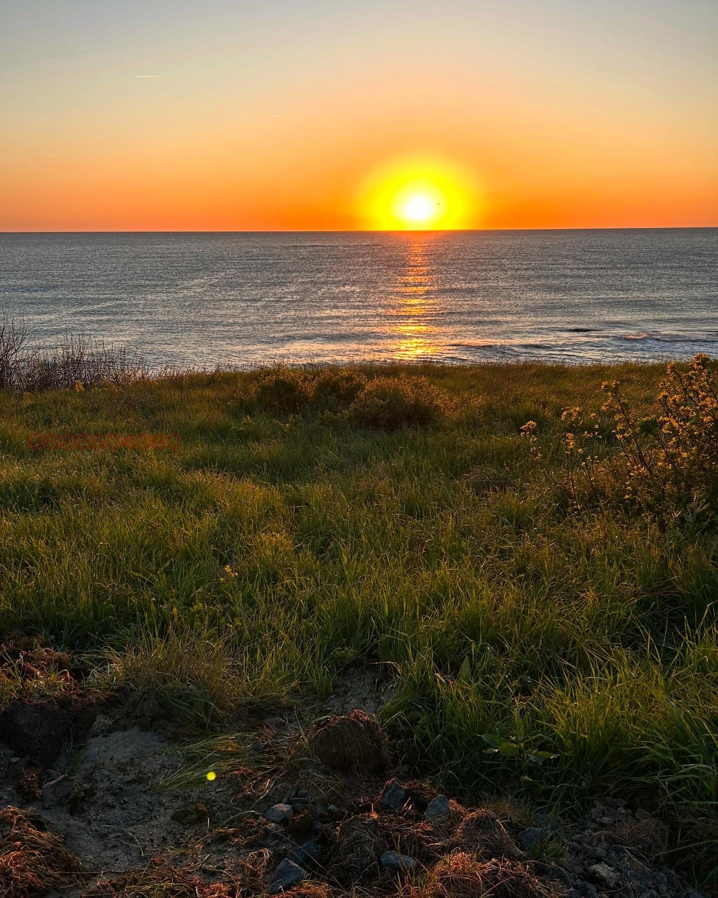 ������� ���� | Imot.bg � ����������� 14