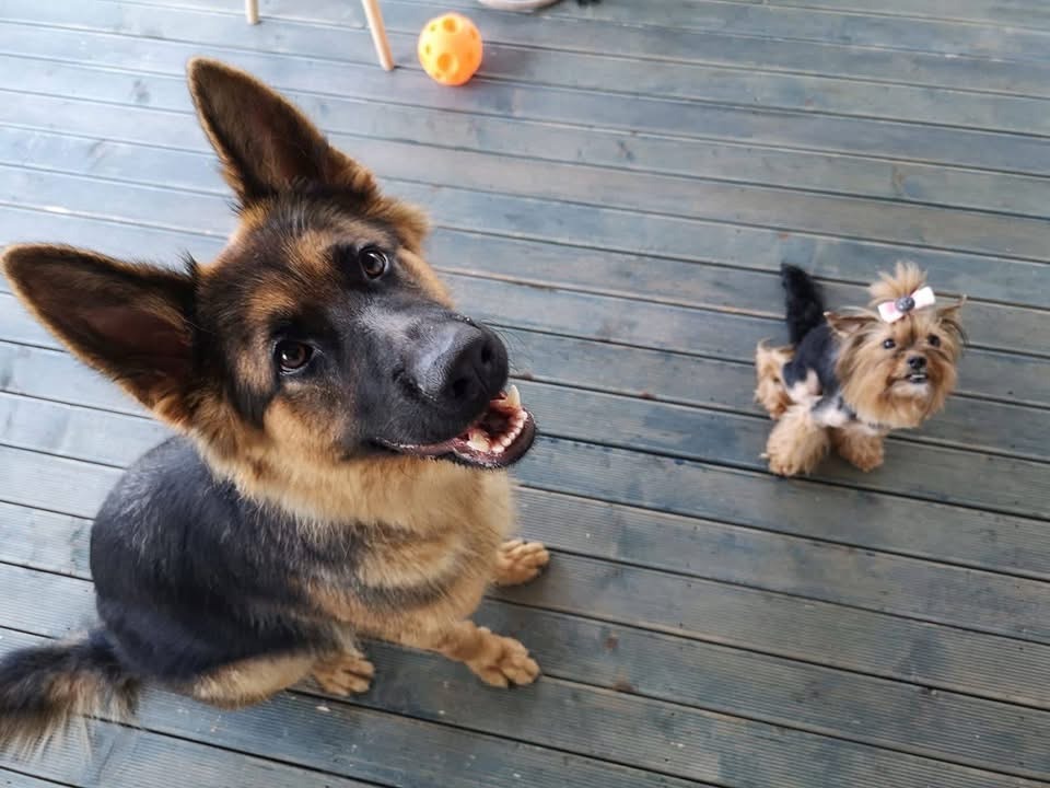 ������� ���� | Imot.bg � ����������� 16