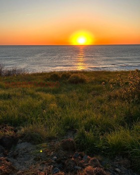 ������� ���� | Imot.bg � ����� ������ 14