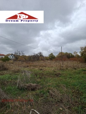 ����� ������� ������,���� �����, �. ��������