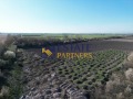 Продава ПАРЦЕЛ, гр. Пловдив, Карловско шосе, снимка 1