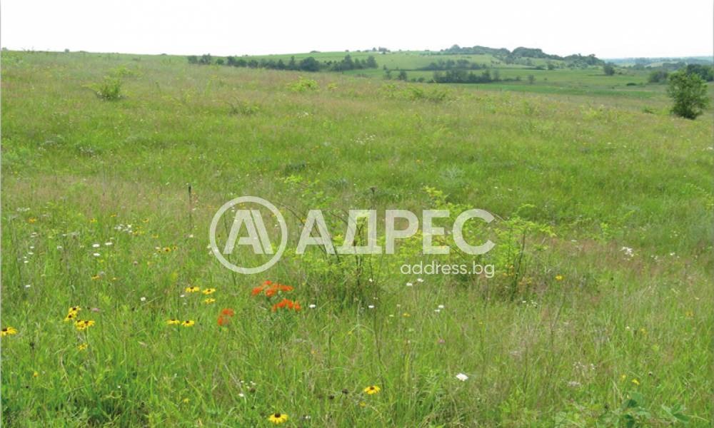 ������� ������ | Imot.bg � ����������� 1