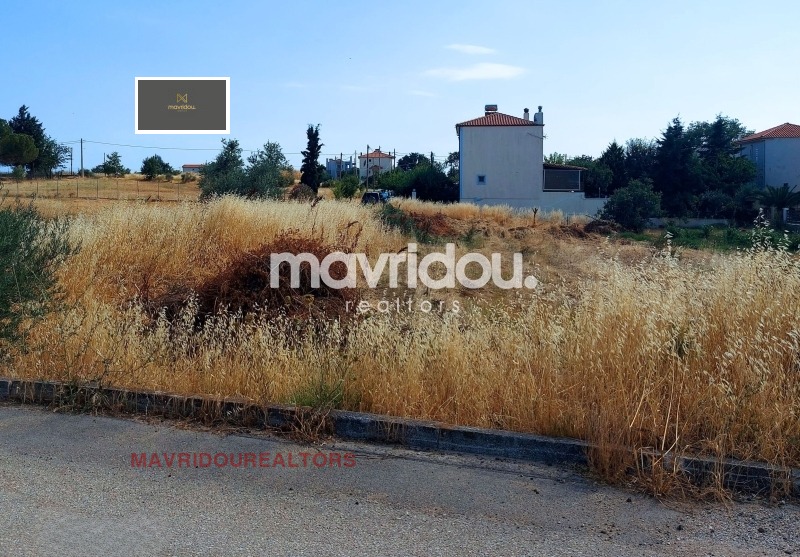 Продава ПАРЦЕЛ, Извън страната, област Извън страната, снимка 4 - Парцели - 52625357