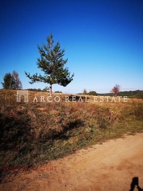 ������� ������ | Imot.bg � ����� ������ 4