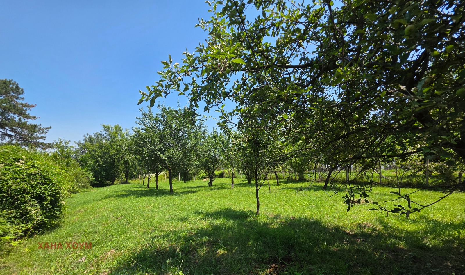 Продава КЪЩА, с. Голяма Желязна, област Ловеч, снимка 5 - Къщи - 55071310