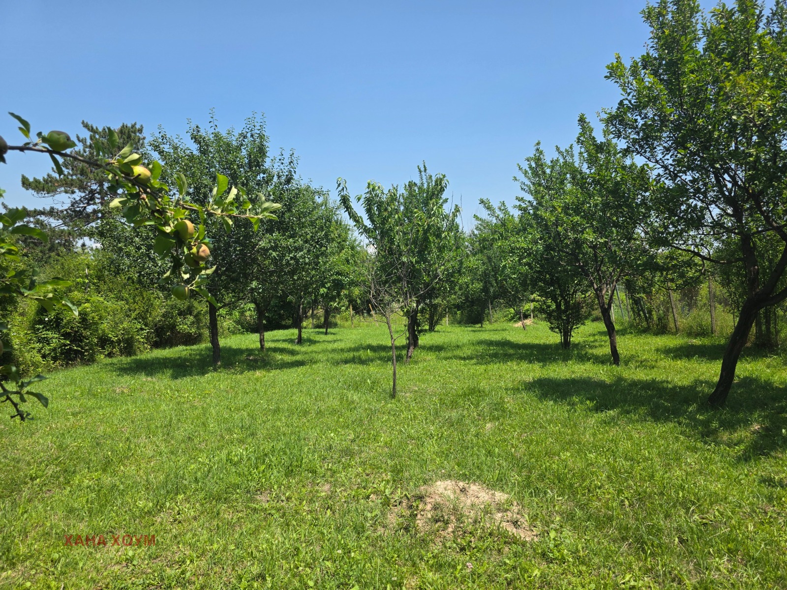 Продава КЪЩА, с. Голяма Желязна, област Ловеч, снимка 4 - Къщи - 55071310