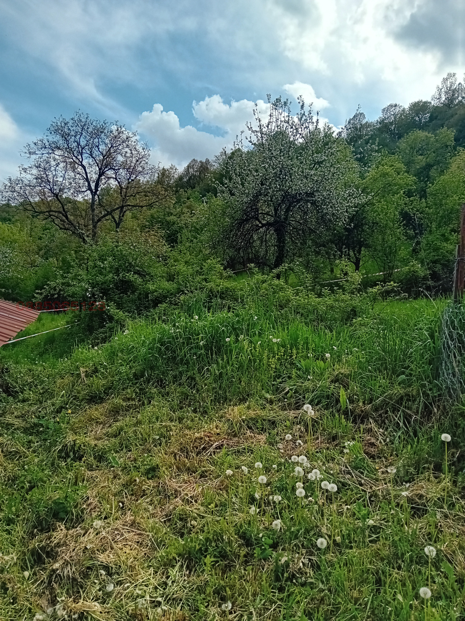 Продава ПАРЦЕЛ, с. Балканец, област Ловеч, снимка 4 - Парцели - 55882015