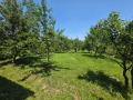 Продава КЪЩА, с. Голяма Желязна, област Ловеч, снимка 3