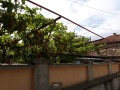 Продава КЪЩА, с. Гецово, област Разград, снимка 4