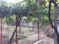 Продава КЪЩА, с. Гецово, област Разград, снимка 8