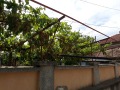 Продава КЪЩА, с. Гецово, област Разград, снимка 13