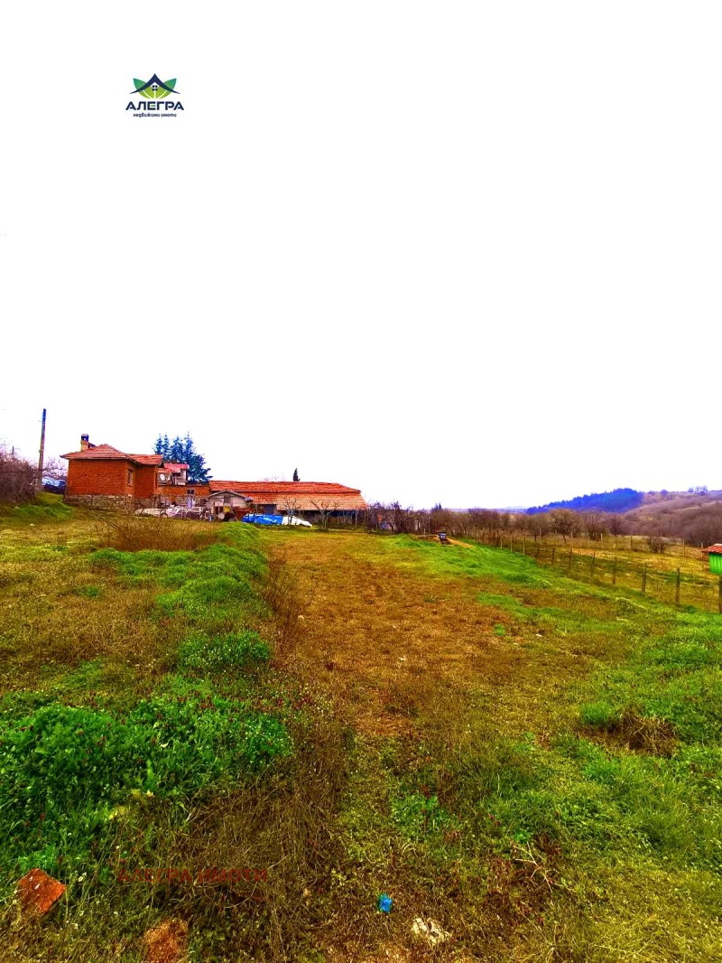 Продава ПАРЦЕЛ в област Пазарджик, с. Церово - 875 кв.м / 10 000 € » 19 558.30 лв., АЛЕГРА ИМОТИ