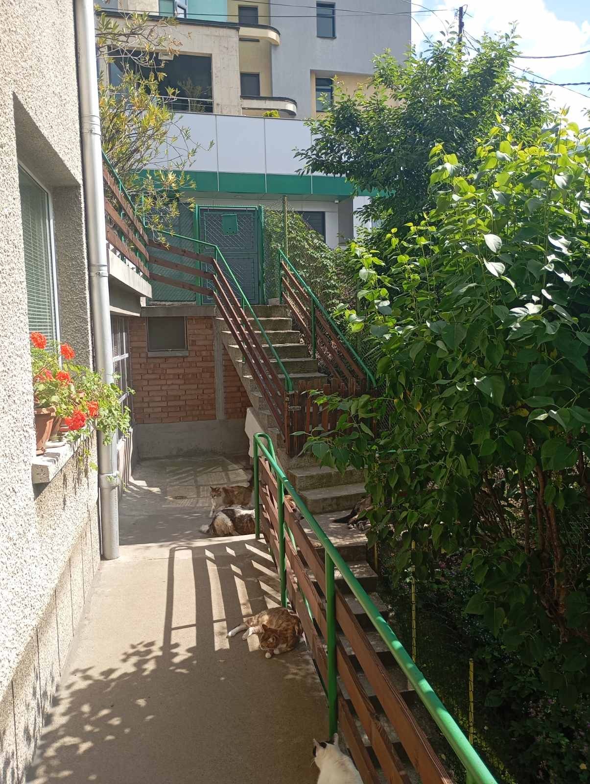 ������� ���� | Imot.bg � ����������� 5