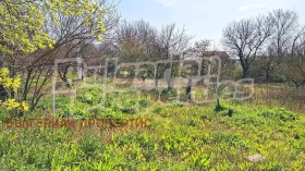 ������� ������ | Imot.bg � ����� ������ 7