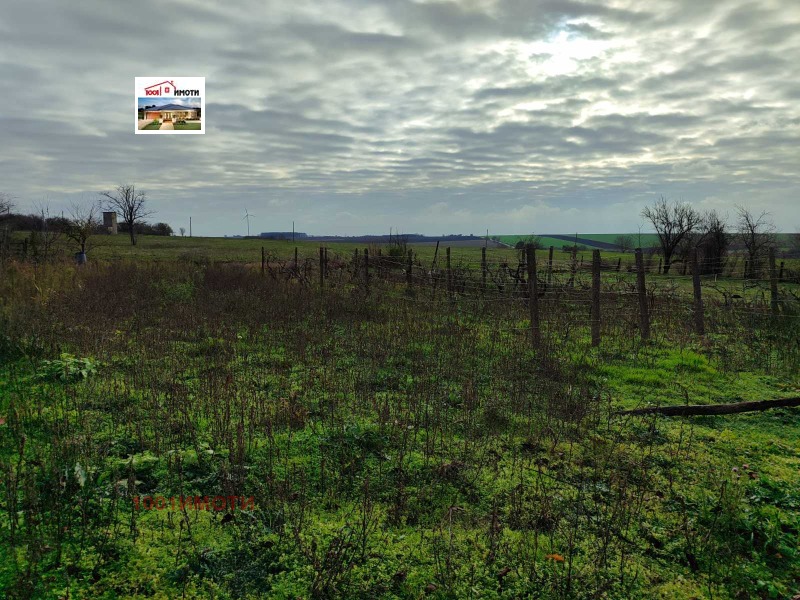 Продава КЪЩА, с. Гешаново, област Добрич, снимка 16 - Къщи - 53469778