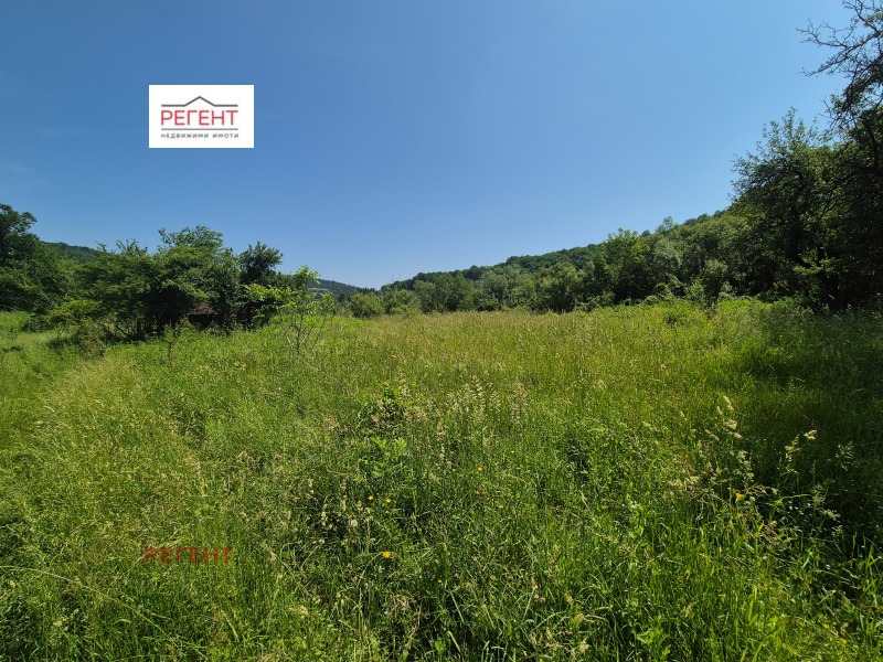 For Sale  Plot region Gabrovo , Tryavna , 4025 sq.m | 34937691 - image [2]
