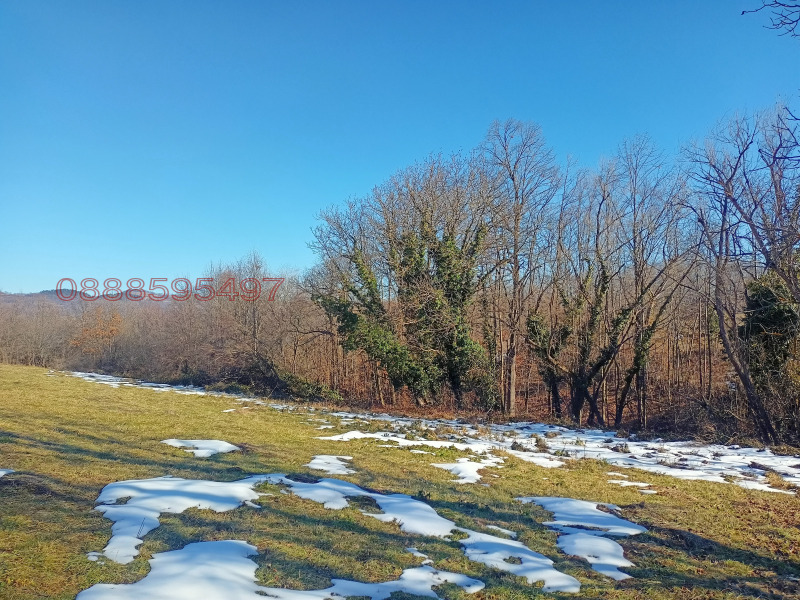 Продава ПАРЦЕЛ, с. Лесидрен, област Ловеч, снимка 3 - Парцели - 53333269