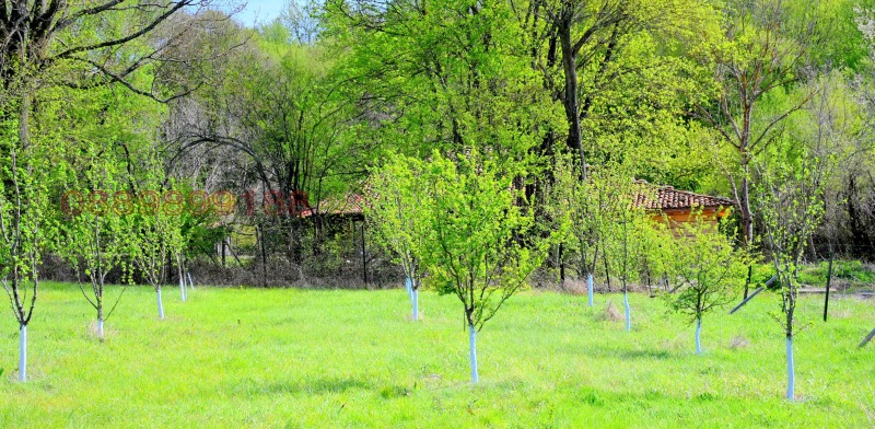 Продава ЗЕМЕДЕЛСКА ЗЕМЯ, гр. Елена, област Велико Търново, снимка 2 - Земеделска земя - 52780302