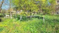 Продава ПАРЦЕЛ, област Варна, с. Венчан • 29500 € / 57696.99 лв. • 94965805 3