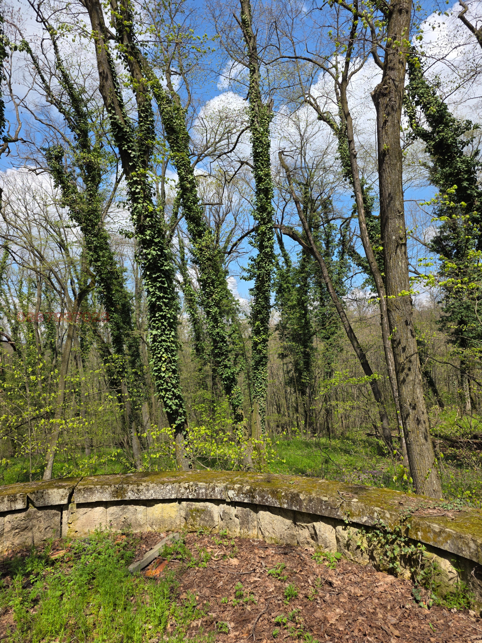 ������� ���� | Imot.bg � ����������� 8