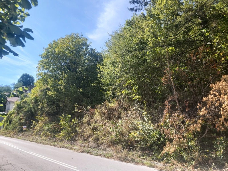 Na prodej  Spiknutí oblast Loveč , Šipkovo , 2618 m2 | 99662118 - obraz [5]