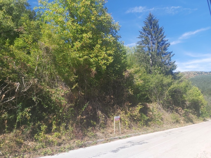 Na prodej  Spiknutí oblast Loveč , Šipkovo , 2618 m2 | 99662118