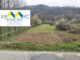 ������ ������� ���������� ����