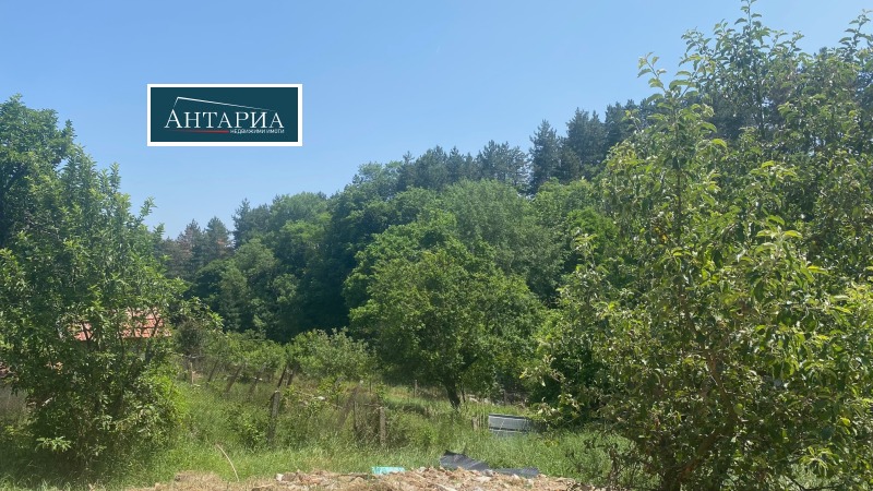 For Sale  House region Sofia , Pozharevo , 310 sq.m | 64592325