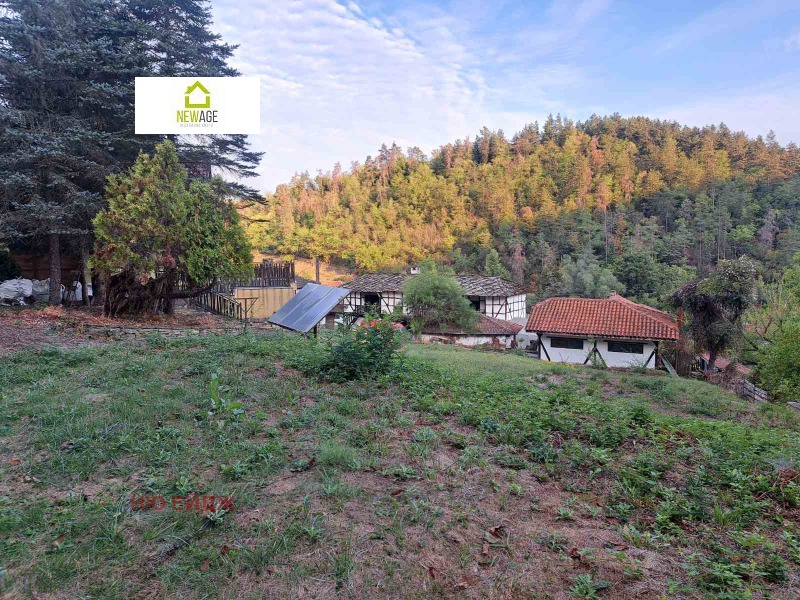 Продава БИЗНЕС ИМОТ, с. Дълбок дол, област Ловеч, снимка 14 - Други - 53108097