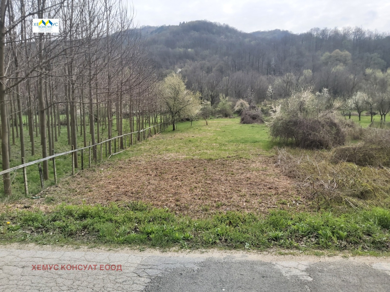 Продава ЗЕМЕДЕЛСКА ЗЕМЯ, с. Черни Осъм, област Ловеч