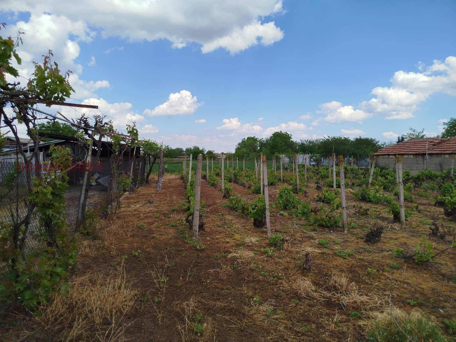 ������� 4-����� | Imot.bg � ����������� 15