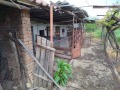 Продава 4-СТАЕН, с. Обнова, област Плевен, снимка 17