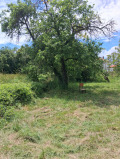 Продава  Къща област Перник , с. Режанци , 140 кв.м | 70046617 - изображение [6]
