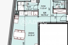 ����� ������� 3-�����,���� �����, ������ ����