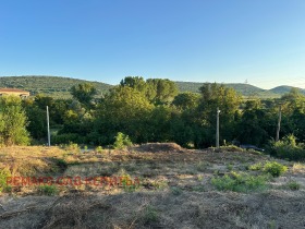 Handlung Ledenik, region Weliko Tarnowo 1