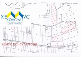 Продажба на имоти в с. Дебнево, област Ловеч - изображение 3 