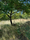 Продава ВИЛА, с. Радуй, област Перник, снимка 6