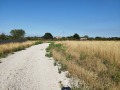 Продава ПАРЦЕЛ, гр. Варна, м-т Перчемлията, снимка 5