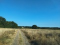 Продава ПАРЦЕЛ, гр. Варна, м-т Перчемлията, снимка 6