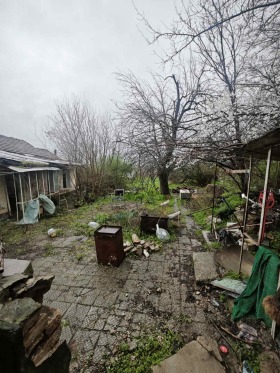 ������� ���� | Imot.bg � ����� ������ 4