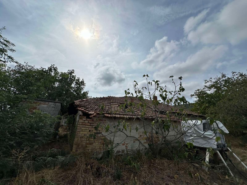 En venta  Casa región Burgas , Medovo , 100 metros cuadrados | 68628768 - imagen [12]