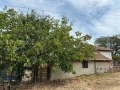 Продава КЪЩА, област Бургас, с. Медово • 60000 € • 19693521 — Holmes.bg