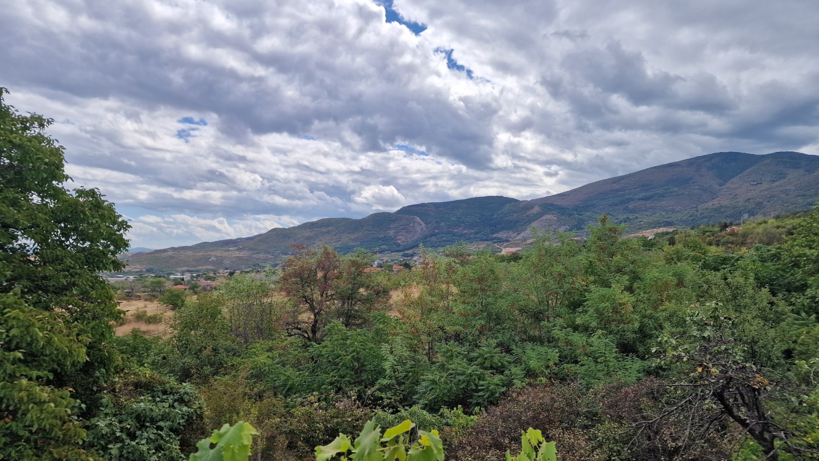 ������� ���� | Imot.bg � ����������� 11