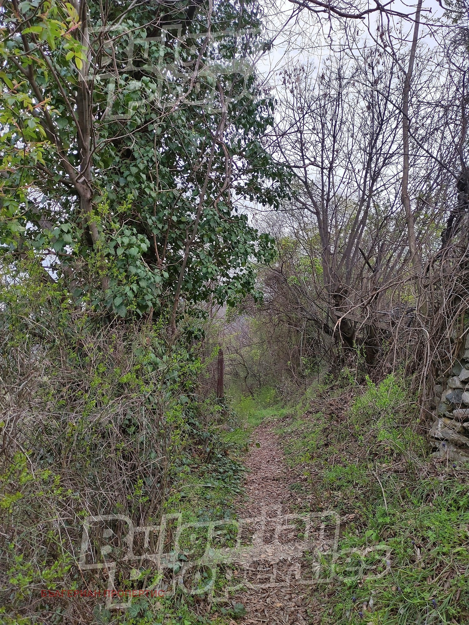 ������� ���� | Imot.bg � ����������� 2