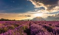 Продава ПАРЦЕЛ, с. Песнопой, област Пловдив, снимка 1