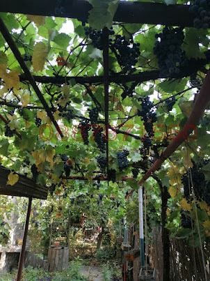 ������� ���� | Imot.bg � ����������� 10