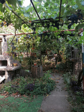 ������� ���� | Imot.bg � ����� ������ 2